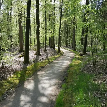 Boschhuys Hébergement de vacances