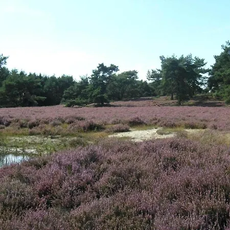 Hébergement de vacances Boschhuys Uelsen