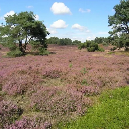 Boschhuys Hébergement de vacances *