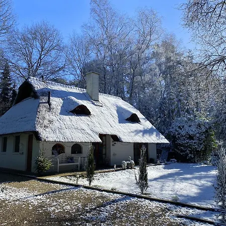 Holiday home Boschhuys *