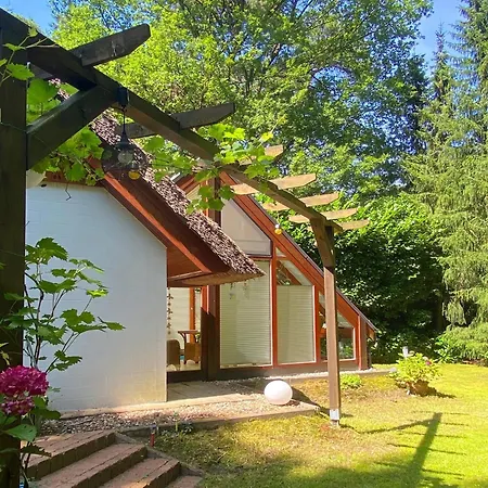 Boschhuys Holiday home Uelsen