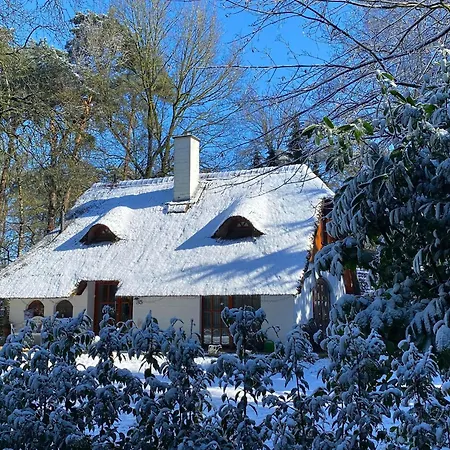 Boschhuys Holiday home *