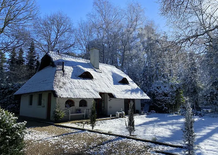 度假居 Boschhuys *