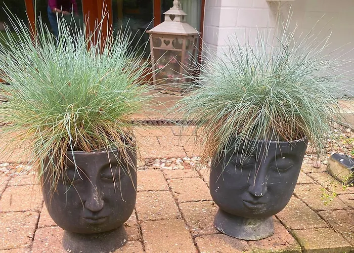 Boschhuys * 尤尔森